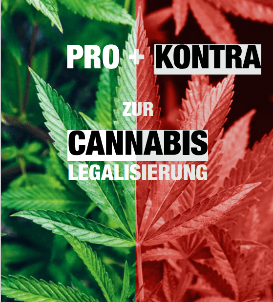 Broschüre Pro Kontra Cannabis Legalisierung Sag Nein zu Drogen