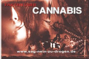 Fakten über Cannabis